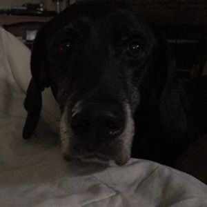 Meet your Posher, Melimelissa